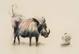 William Kentridge, Untitled (Warthog and Cupcake)
