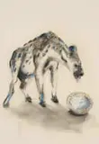 William Kentridge, Untitled (Hyena and Bowl of Water)