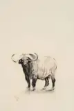 William Kentridge, Untitled (Buffalo and Egret)