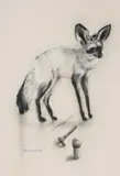 William Kentridge, Untitled (Bat Eared Fox and Toiletries)