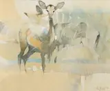 Keith Joubert, Impala Buck, oil on canvas