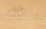 Trees in a Bushveld Landscape by Jacobus Hendrik Pierneef, pencil and watercolour on tissue paper, sold Mar 2026