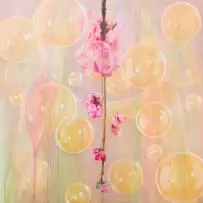 Tracy Payne, Blossoms, Bubbles and Bondage II, diptych, 2003, oil on canvas