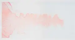 Berni Searle, On Either Side (Traces), 2005, archival pigment ink on cotton rag paper