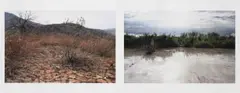 Guy Tillim, Stanley's Terrace, New Matadi July 2003; Mobutu's Terrace, Gbadolite, Sep 2003, Leopold and Mobutu series, diptych, 2003, archival pigment ink on 300g cotton paper