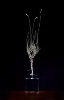 Nic Bladen, Lobelia Coronopifolia, 2022, bronze, on a crystal base