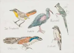 Claudette Schreuders, My Voëls I (My Birds I), hand-coloured etching on paper