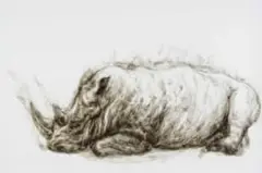 Diane Victor, Rhinoceros, 2020, smoke on paper