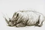 Diane Victor, Rhinoceros, 2020, smoke on paper