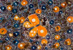 Esias Bosch, Tile decorated with butterfly and floral motif, painted and glazed ceramic with lustre decoration
