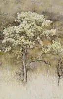 Leigh Voigt, Dombeya Rotundifolia, 2013, oil on canvas