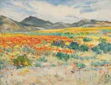 Hugo Naude, Namaqualand Landscape, oil on wood panel