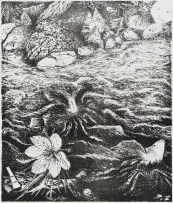 Karel Nel, Somewhere a Brahmarandhra Blooms Quietly, 1992, lithograph on paper