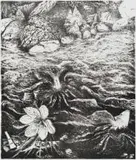 Karel Nel, Somewhere a Brahmarandhra Blooms Quietly, 1992, lithograph on paper