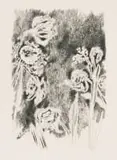 Andrew Verster, Irises