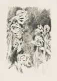 Andrew Verster, Irises II