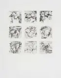 Andrew Verster, Land Series, 1988, nine plate etching on paper
