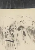 Andrew Verster, Abstract