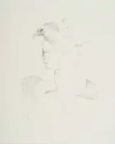 Judith Mason, A Page from an Engen Bestiary - Helmet, 1994, pencil on paper