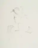 Judith Mason, A Page from an Engen Bestiary - Helmet, 1994, pencil on paper