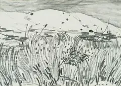Nico Verboom, Grassy Landscape, 1981, charcoal on paper