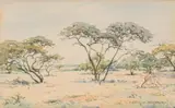 Erich Mayer, Landscape with Thorn Trees, 1929, watercolour on paper