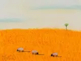 Pieter van der Westhuizen, Landscape with Sheep
