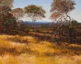 Andre de Beer, Landscape with Trees, oil on canvas board