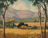 Willem Hermanus Coetzer, Nelspruit TVL