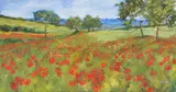 Ann Nosworthy, Landscape with Poppies, 2004, oil on canvas