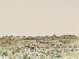 Adolph Jentsch, Sud West of Afrika