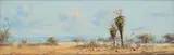 Francois Badenhorst, Aloes in Landscape, oil on board