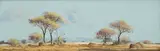 Francois Badenhorst, Trees in Landscape, oil on board
