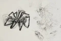 Diane Victor, Arachne and Athena, from Birth of a Nation series, 2010, drypoint etching on paper