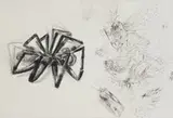 Diane Victor, Arachne and Athena, from Birth of a Nation series, 2010, drypoint etching on paper