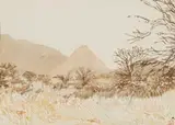 Adolph Jentsch, S.W. Afrika