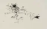 Walter Battiss, San Art, ink on paper
