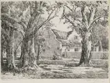 Tinus de Jongh, Steenberg, Tokai, etching on paper