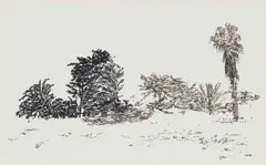 Adolph Jentsch, Sudwest Afrika, Swakopmund, 1968, Ink on Paper