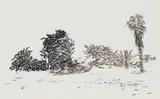 Adolph Jentsch, Sudwest Afrika, Swakopmund, 1968, Ink on Paper