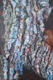 Embark by Cecilia Maartens-van Vuuren, 2025, oil on canvas, offered Jul 2025
