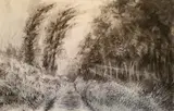 Geneve Eloff-Potgieter, Conversing with Nature, 2024, charcoal and pastel on Fabriano paper