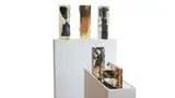 Jonathan van der Walt, Mine, 2024, braaiwood, goldleaf, charcoal, 3D printed PLA and resin, on MDF plinths with mirror glass