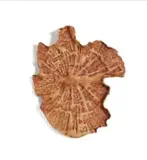Natasha Bezuidenhout, Untitled (Earth-mapping I), Ochre, 2024, unglazed ceramic