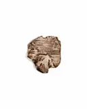 Natasha Bezuidenhout, Untitled (Earth-mapping II, f), 2024, unglazed ceramic