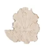Natasha Bezuidenhout, Untitled (Earth-mapping I), White, 2024, unglazed ceramic