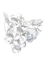 Nellien Brewer, Oyster II, 2024, digital text and print on paper
