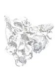 Nellien Brewer, Oyster II, 2024, digital text and print on paper
