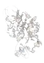 Nellien Brewer, Oyster III, 2024, digital text and print on paper