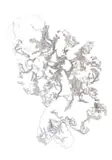 Nellien Brewer, Oyster III, 2024, digital text and print on paper